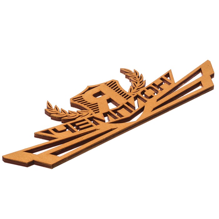 Медальница "Я чемпион"