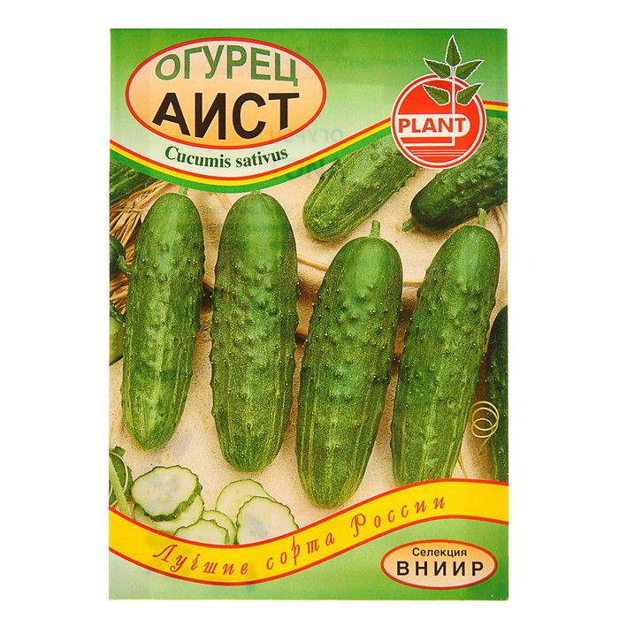 Семена огурец "Аист", пчёлоопыляемый, 0,5 г