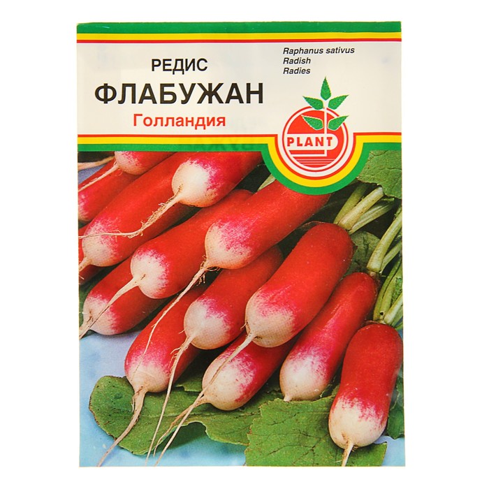 Семена Редис "Флабужан" 1г.