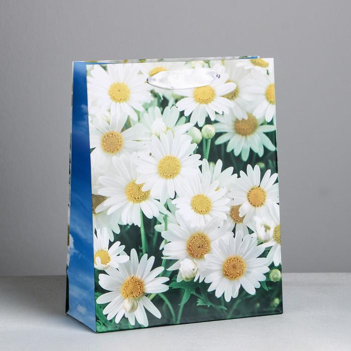 Пакет ламинированный вертикальный «Ромашки полевые», L 30 × 41 × 11 см