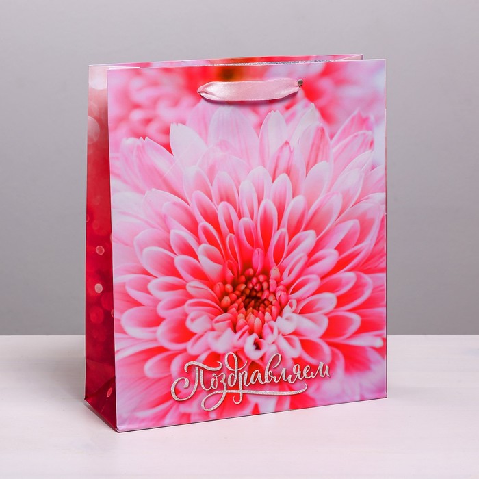 Пакет ламинированный вертикальный «Поздравляем», ML 23 × 27 × 8 см