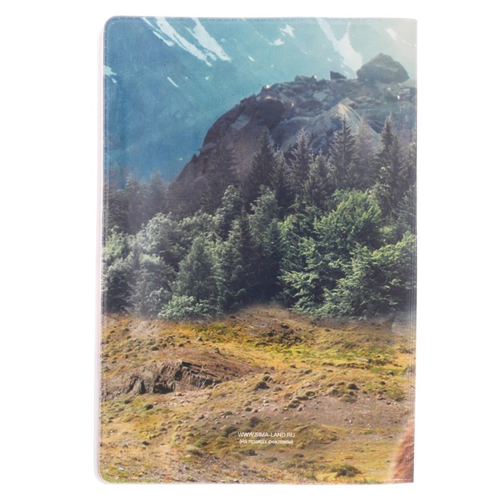 Подарочный набор "Для сильного духом": обложка для паспорта и ручка