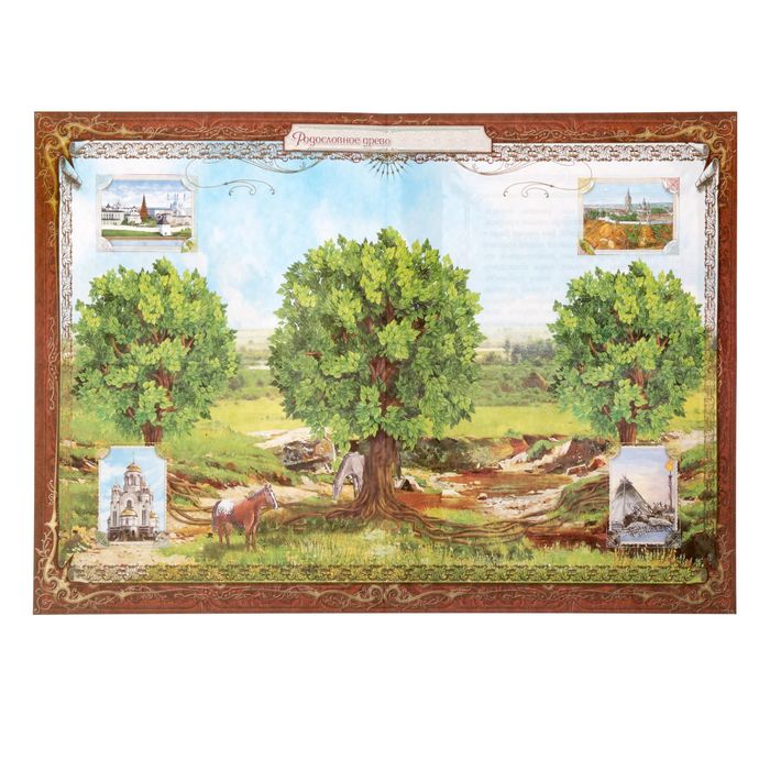 Родословная книга в шкатулке "Древо семьи"