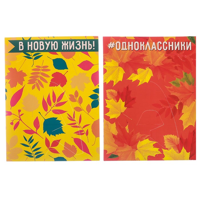 Подарочный набор "Школьные годы чудесные": фотоальбом и две фоторамки