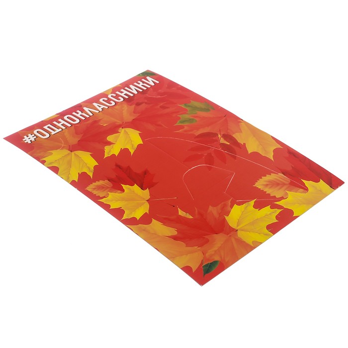 Подарочный набор "Школьные годы чудесные": фотоальбом и две фоторамки