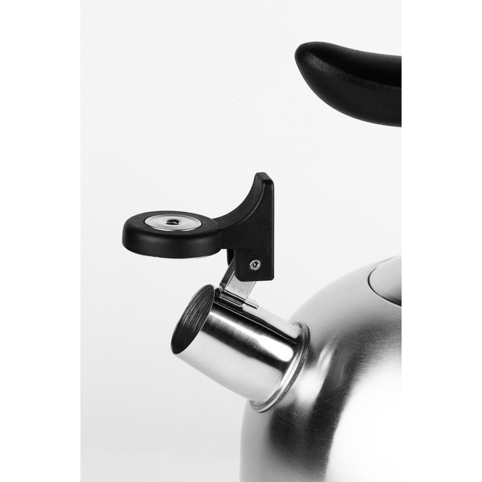 Чайник CS BOXBERG 2 л