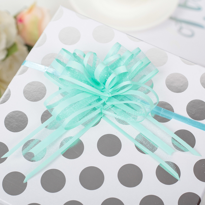 Бант-бабочка №2.5