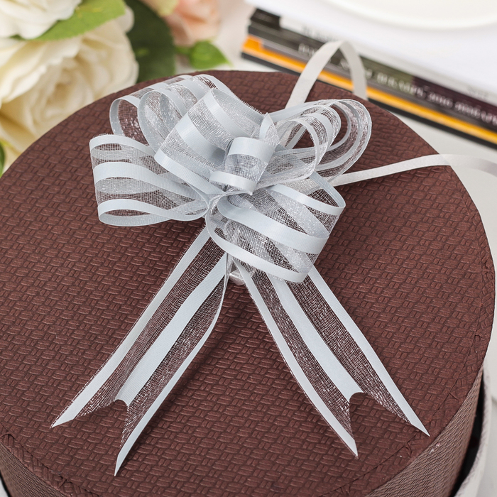 Бант-бабочка №2.5