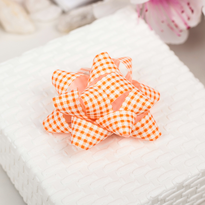 Бант-звезда №5 (НАБОР 12 ШТ) МИКС