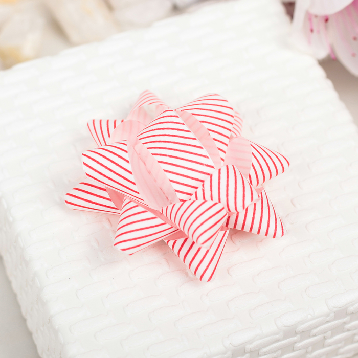 Бант-звезда №5 (НАБОР 12 ШТ) МИКС