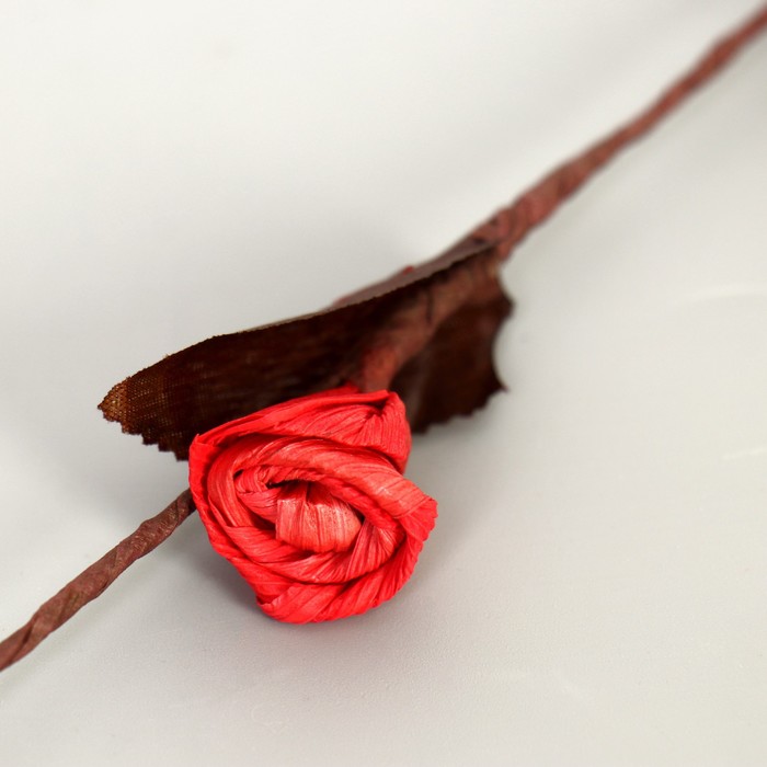 Декоративная ветка "Лоза с розочками" микс