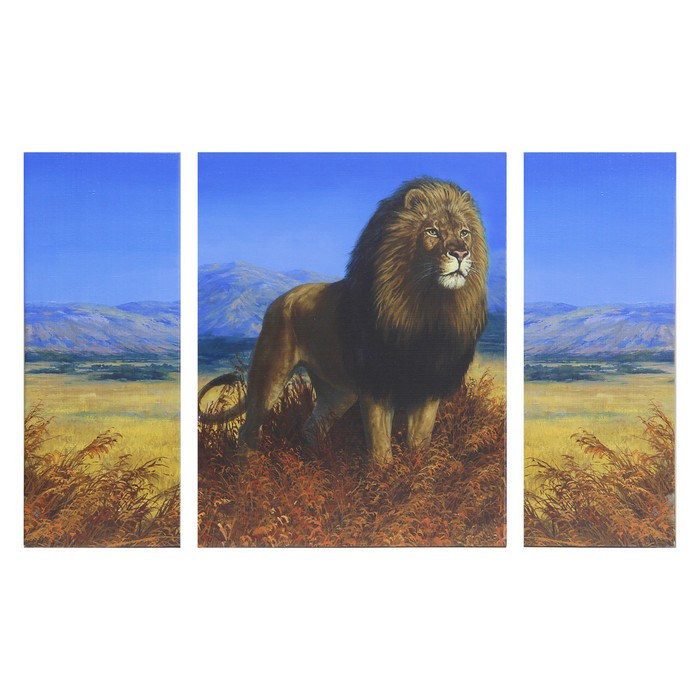 Модульная картина "Царь зверей" 80*50 см (2-20х50; 40х50)