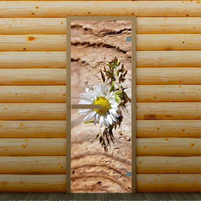 Дверь для бани и сауны "Ромашка", 190 х 70 см, с фотопечатью 6 мм Добропаровъ