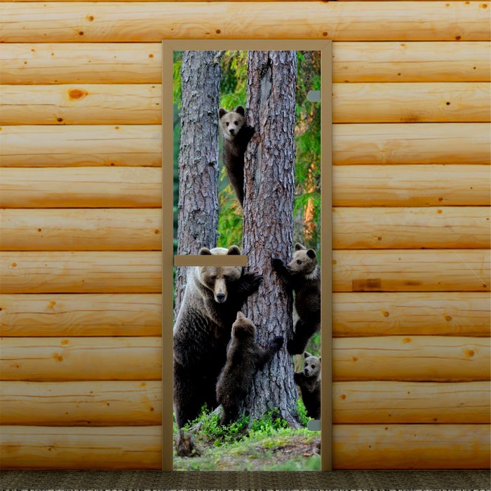 Дверь для бани и сауны "На прогулке", 190 х 70 см, с фотопечатью 6 мм Добропаровъ