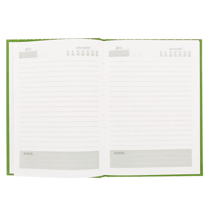 Подарочный набор "Успех - твоя стихия": ежедневник и ручка