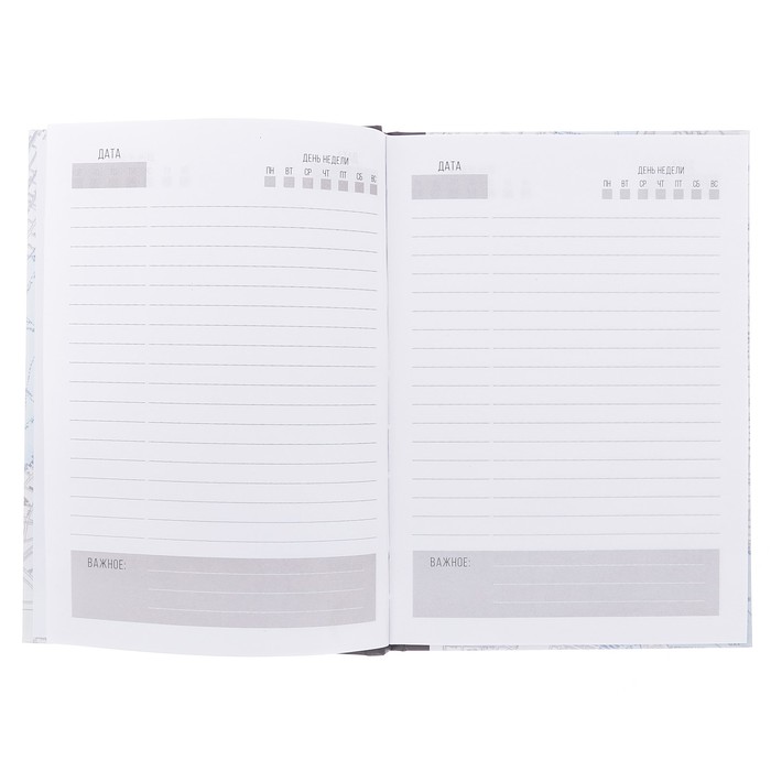 Подарочный набор "Достижения высот": ежедневник и ручка