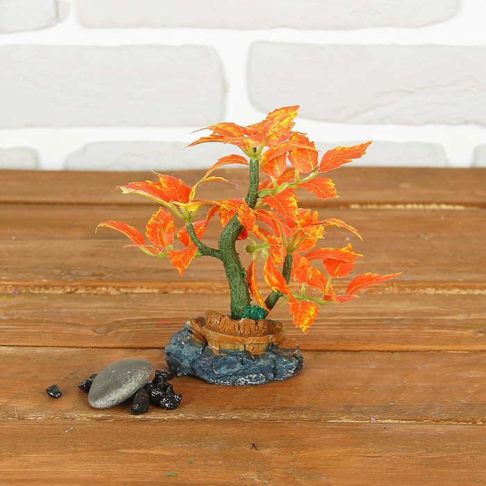 Бонсай лист бочонок на камне