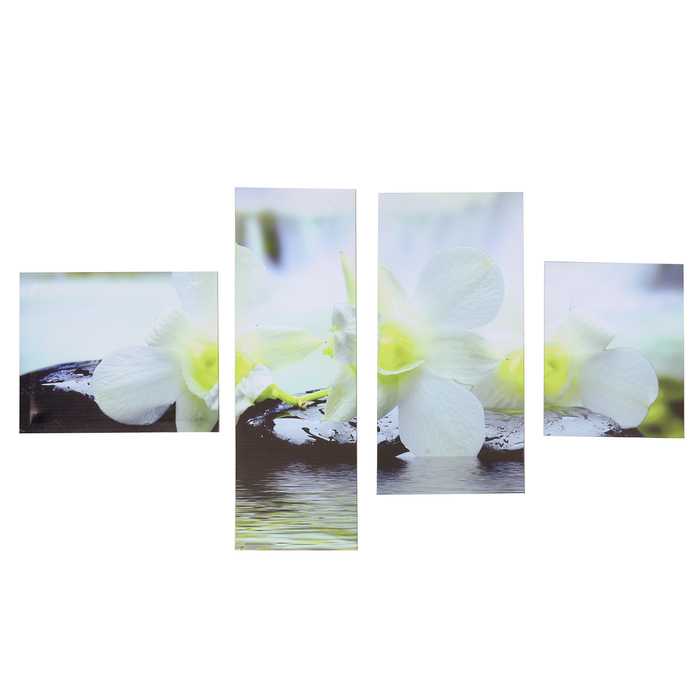 Модульная картина "Белая орхидея на камнях" 60*100 см (33х27; 20х60; 24х50; 23х29)