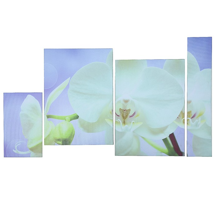 Модульная картина "Цветок орхидеи" 60*100 см (19х32; 2-34х49; 12х60)