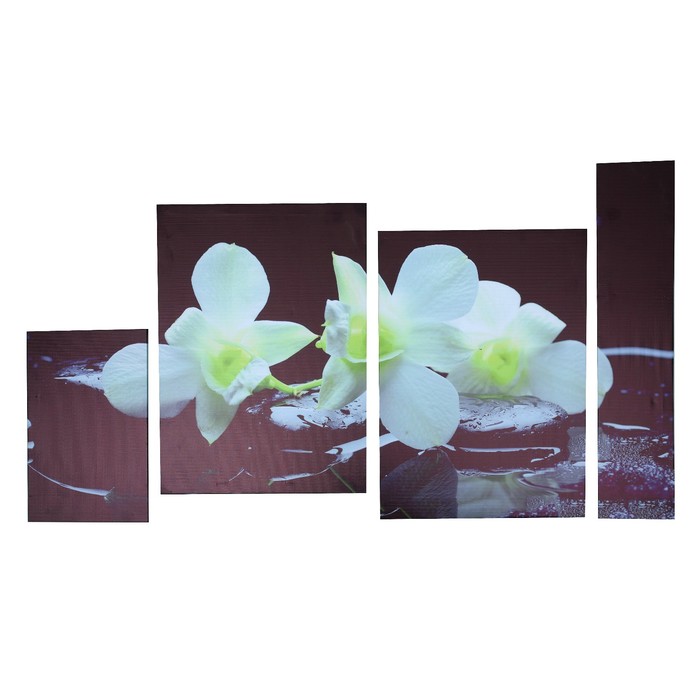 Модульная картина "Белые цветы на чёрном фоне" 60*100 см (19х32; 2-34х49; 12х60)