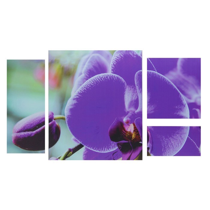 Модульная картина "Крупный фаленопсис" 60*104 см (33х29; 29х16; 50х60; 21х50)