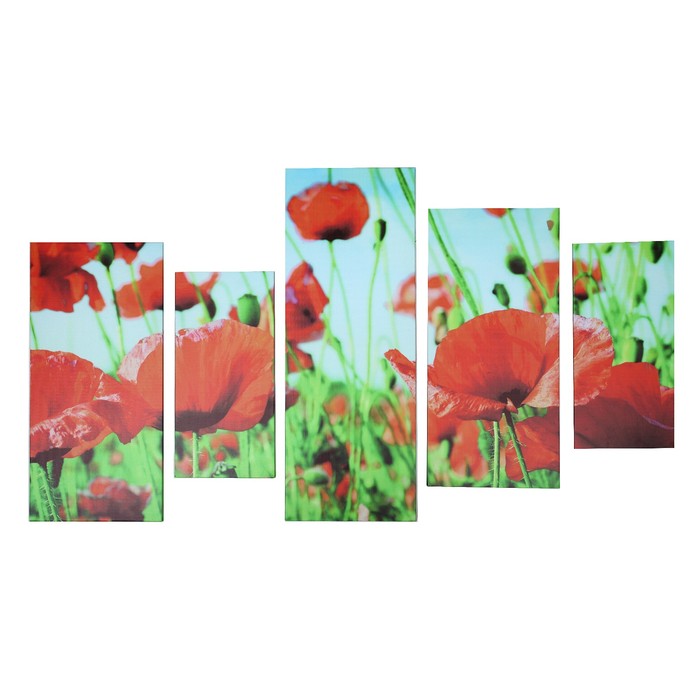 Модульная картина "Маковое поле" 60*100 см (2-16х35; 2-22х48; 1-22х60)
