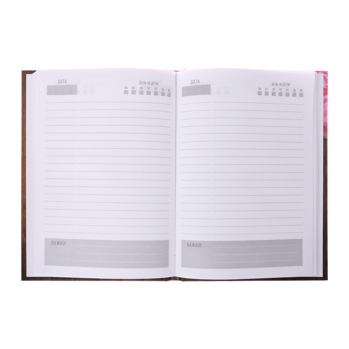 Подарочный набор "С уважением и восхищением": ежедневник и ручка