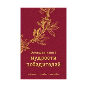 

Большая книга мудрости победителей