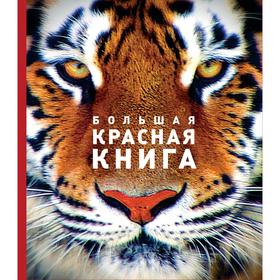 

КраснаяКн. Большая красная книга (стерео-варио). Скалдина О.В., Слиж Е.А.