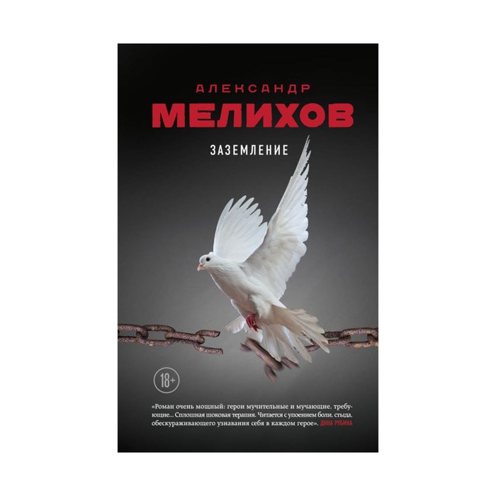 БолЛПроАМ. Заземление. Мелихов А.М.