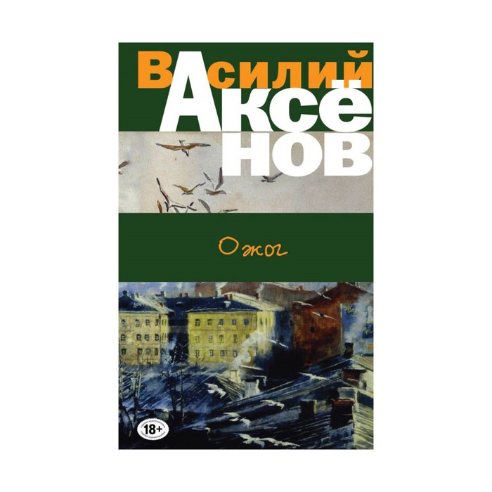 БПВА. Ожог. Аксенов В.П.