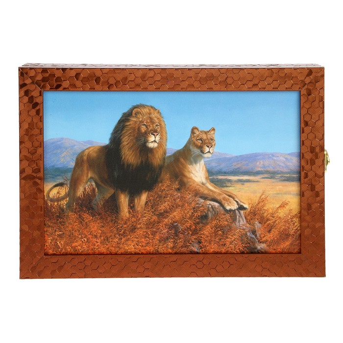 Ключница "Львы" багет 24х34х5 см