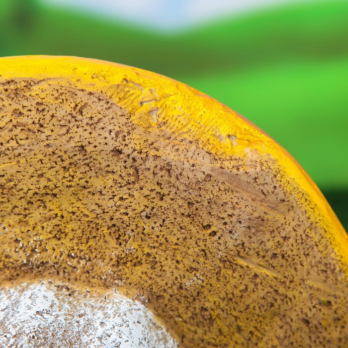 Садовая фигура "Гриб-гигант"