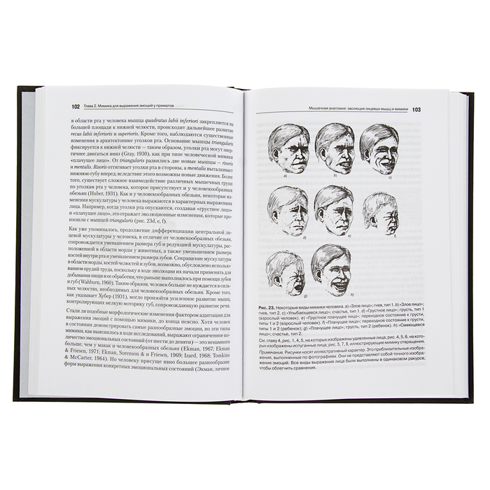 Конфликтология. Эволюция эмоций. Экман П.