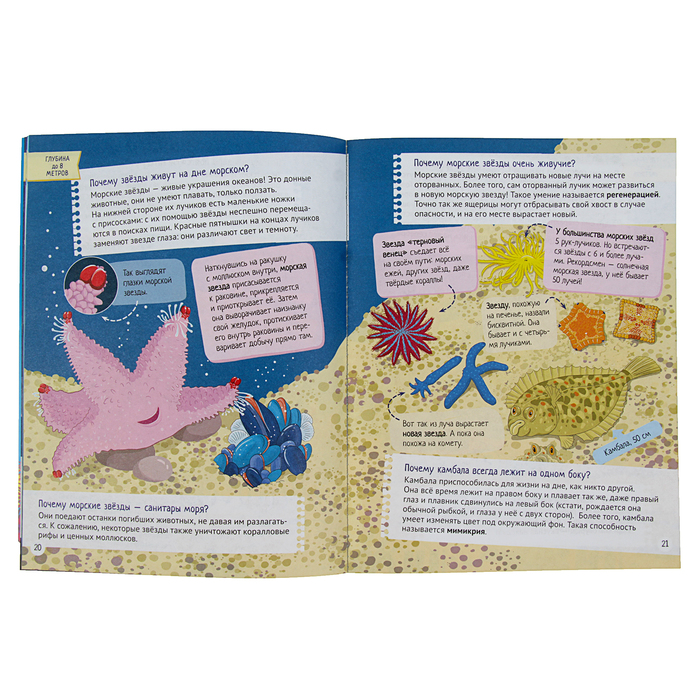 Интересные факты о морских обитателях. Почему кит не рыба? 5+