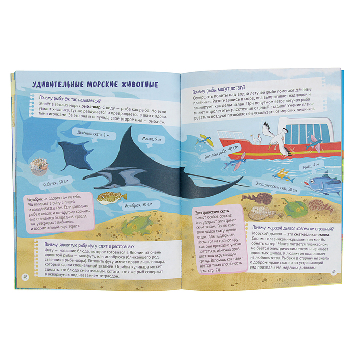 Интересные факты о морских обитателях. Почему кит не рыба? 5+