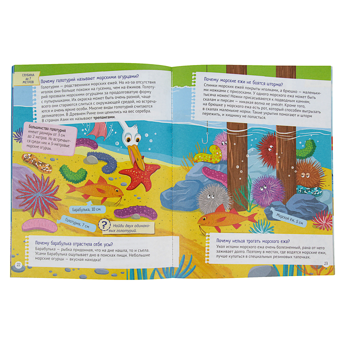 Интересные факты о морских обитателях. Почему кит не рыба? 5+