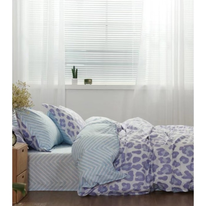 КПБ евро, 230х250 см, 200х220 см, 50х70 см, 70х70 см по 2 шт., сатин TPIG6-345