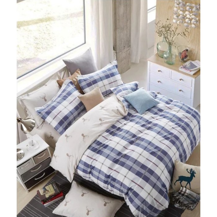 КПБ евро, 230х250 см, 200х220 см, 50х70 см, 70х70 см по 2 шт., сатин TPIG6-272