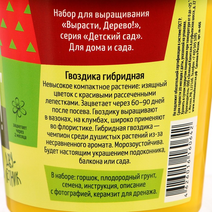 Набор для выращивания растений "Вырасти, Дерево! Гвоздика гибридная"