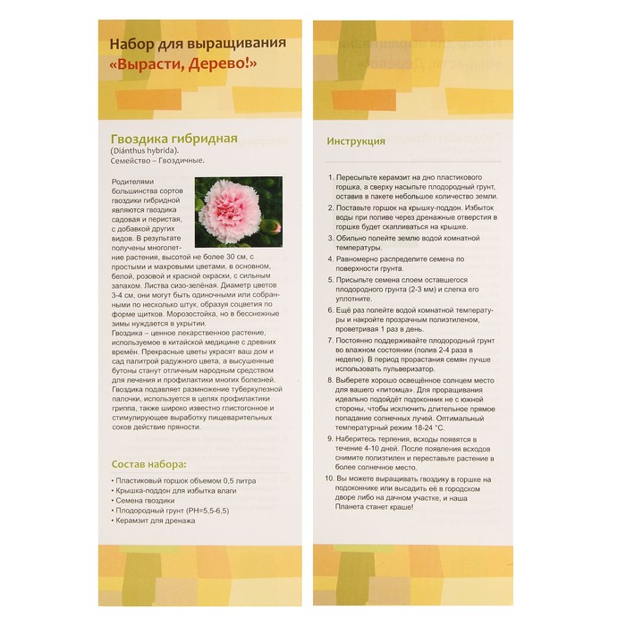 Набор для выращивания растений "Вырасти, Дерево! Гвоздика гибридная"