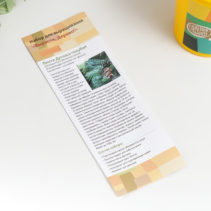 Набор для выращивания растений "Вырасти, Дерево! Пихта Дугласа голубая"