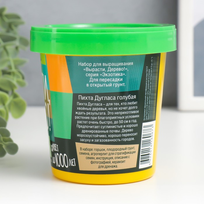 Набор для выращивания растений "Вырасти, Дерево! Пихта Дугласа голубая"