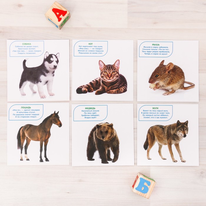 Игра развивающая «Мои первые слова» животные