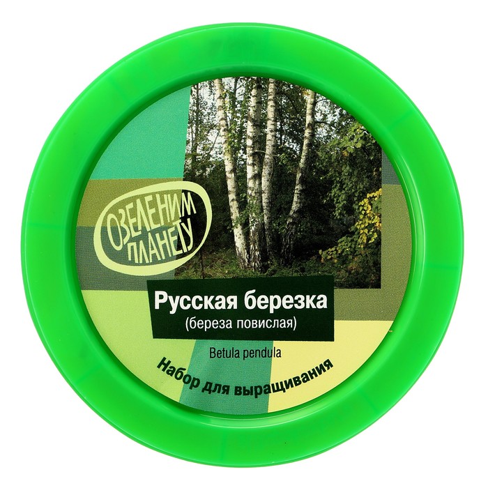 Набор для выращивания растений "Вырасти, Дерево! Русская березка"