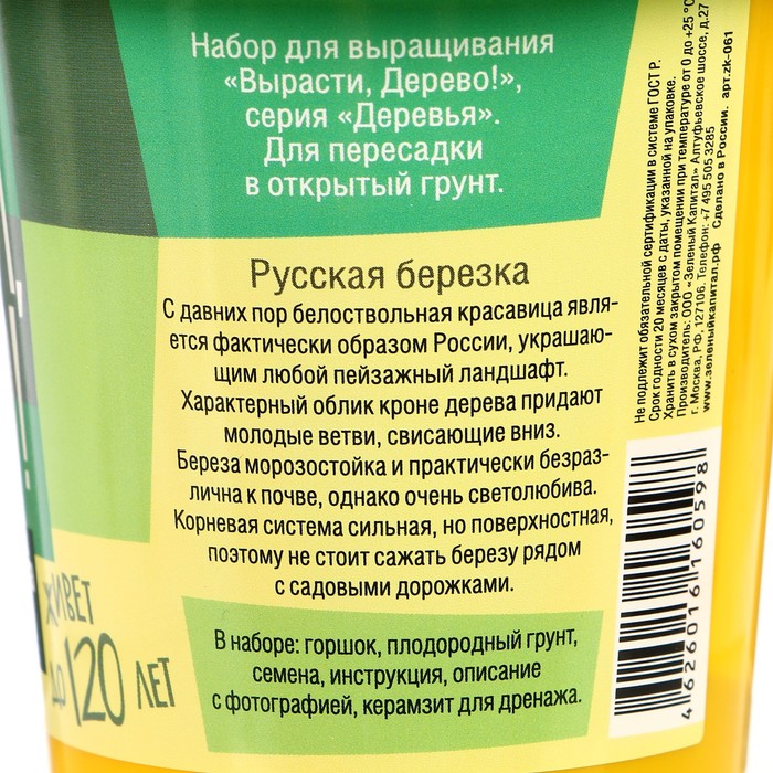 Набор для выращивания растений "Вырасти, Дерево! Русская березка"