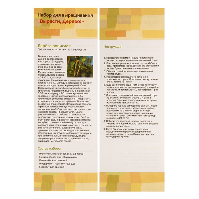 Набор для выращивания растений "Вырасти, Дерево! Русская березка"