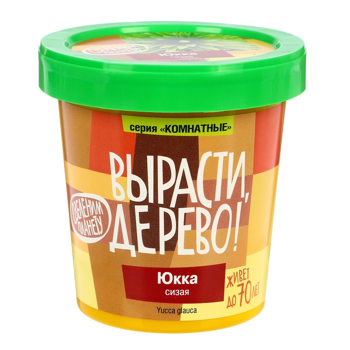 Набор для выращивания растений "Вырасти, Дерево! Юкка сизая"