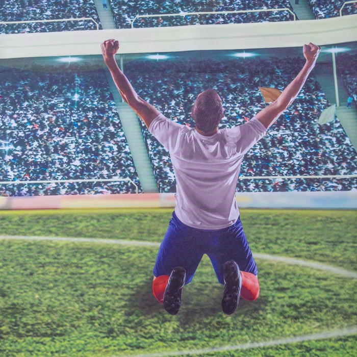 Комплект штор "Этелька" Футбол 145*260 см-2 шт, 100% п/э, 140 г/м2