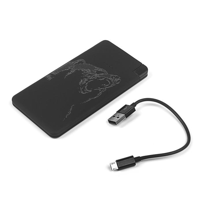 Аккумулятор внешний Deppa NRG Art, USB, Apple 8-pin, 2A, 5000 мАч, Медведь